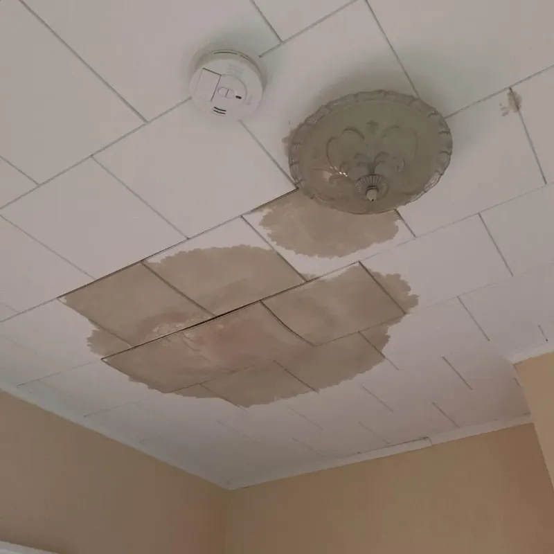 Ceiling Water Damage Repair in Westport, CT