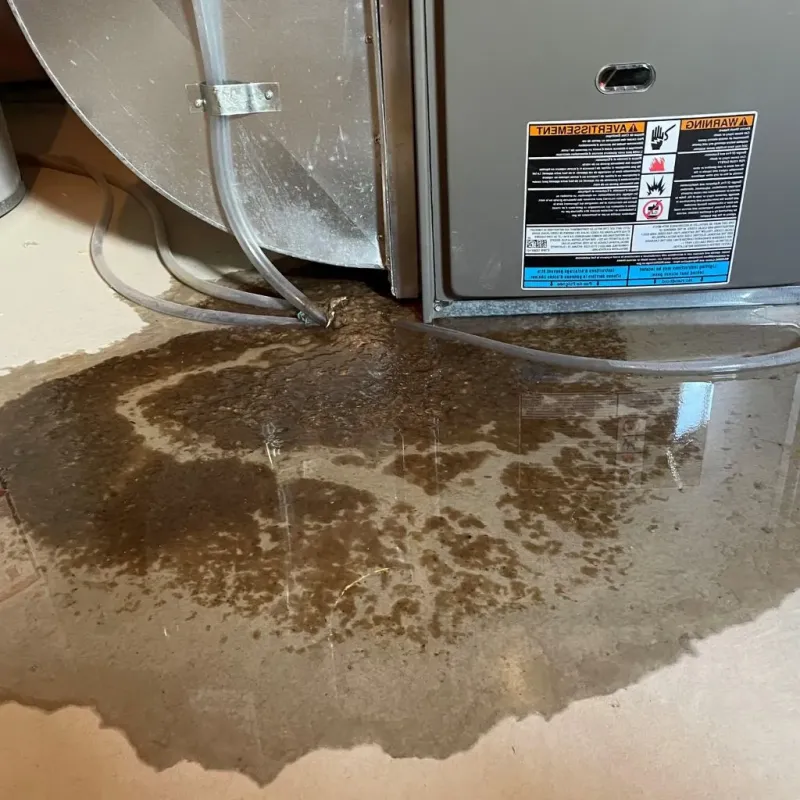 Pipe Burst and Leak Restoration in Westport, CT