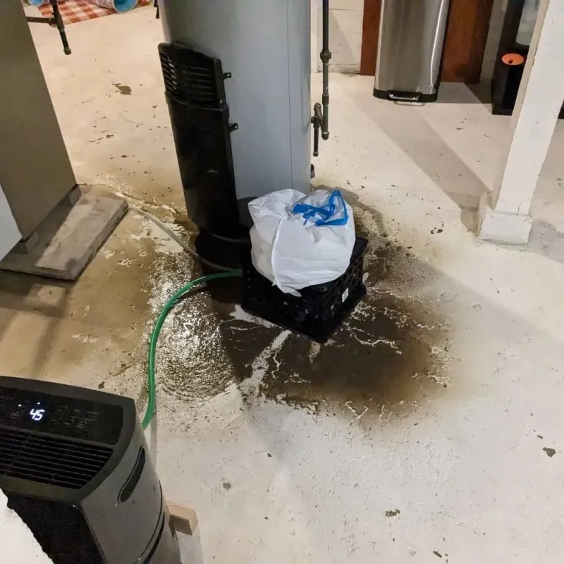 Sewage Backup Cleanup Service in Westport, CT